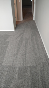 Grey carpet installed in a hallway and room by George Babb Floor Covering in Enumclaw, WA.
