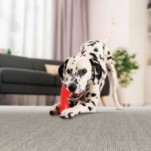 A new grey carpet installation in a home, showcasing quality work by PCS Flooring LLC in Appleton, WI.