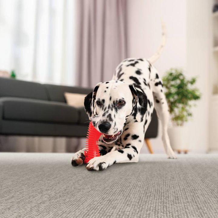 A new grey carpet installation in a home, showcasing quality work by PCS Flooring LLC in Appleton, WI.