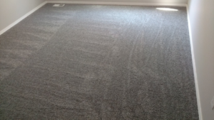 Freshly installed grey carpet in a room by George Babb Floor Covering in Enumclaw, WA.