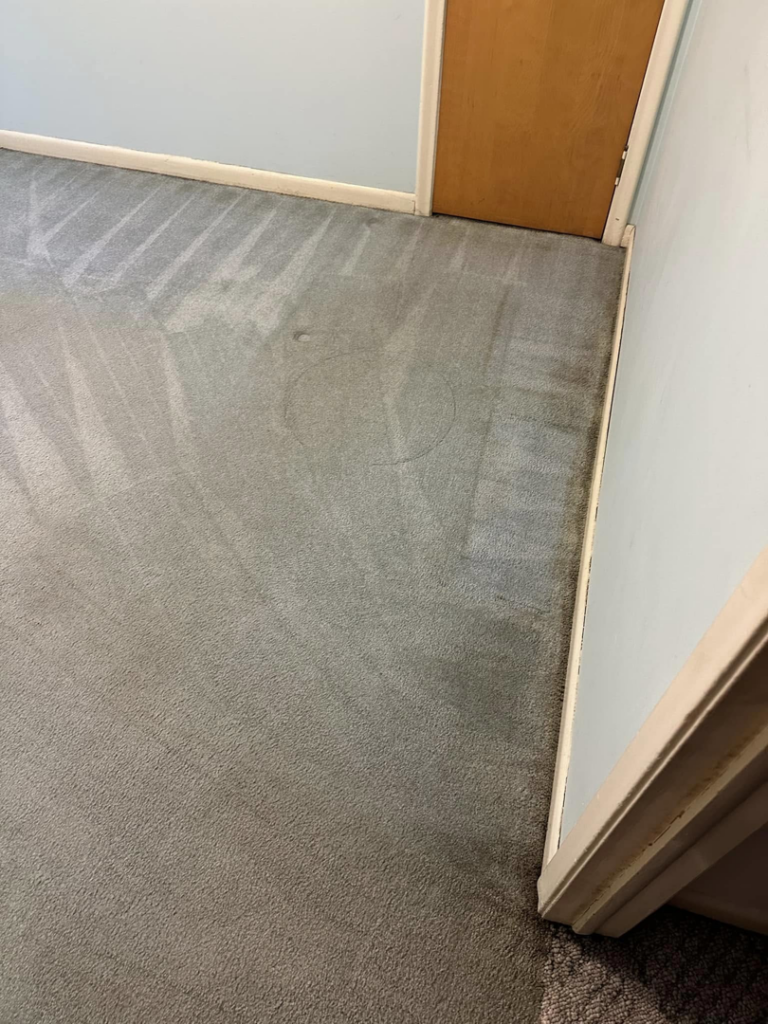A grey carpet showing clear cleaning lines after professional service from Triple B Carpet Cleaning in Roseville, MI.