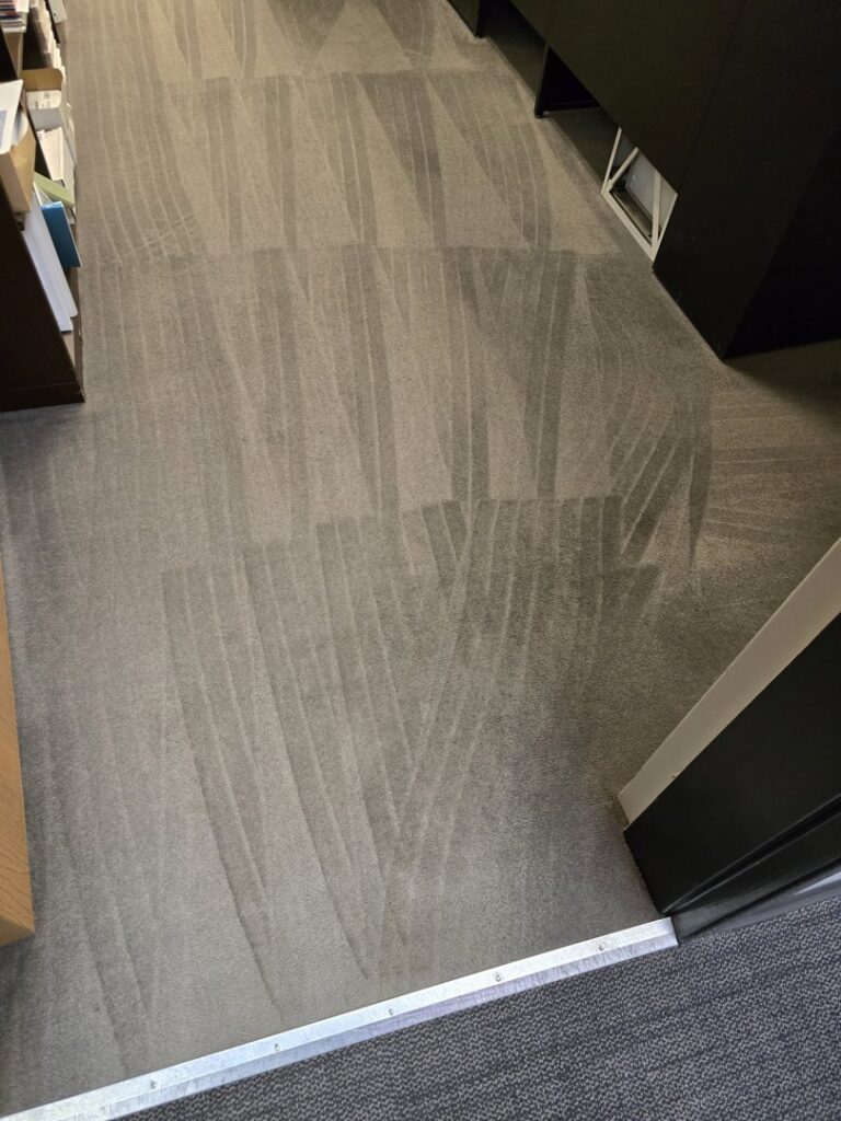 A grey carpet showing distinct cleaning lines after service by Legendary Carpet Care+ in Toledo, OH.