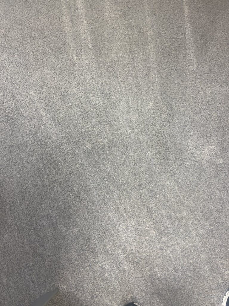 A grey carpet showing clear cleaning stripes after professional service by USA Clean Master in Baltimore, MD