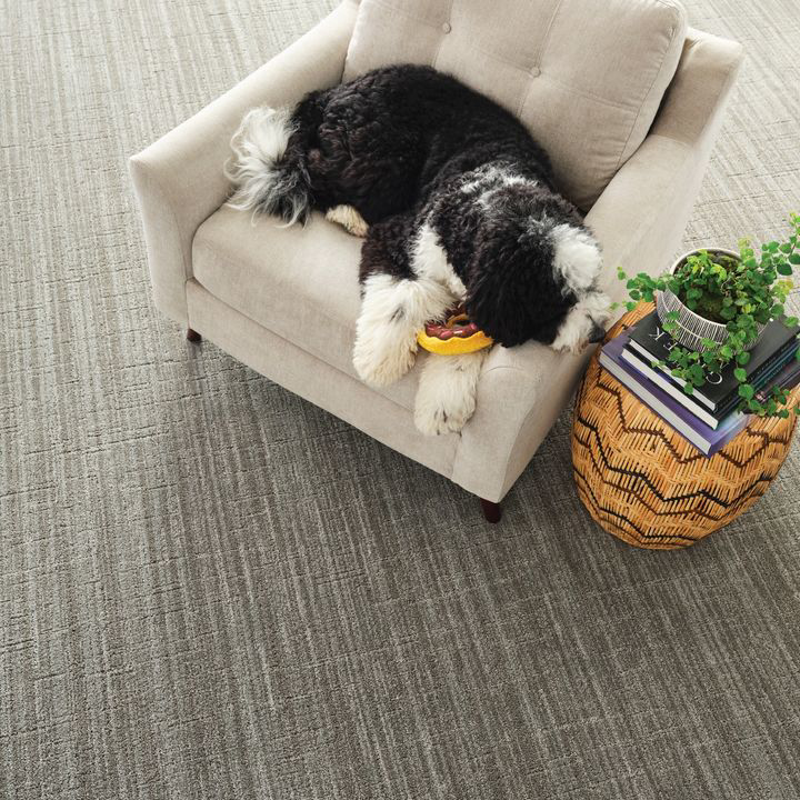 Modern grey striped carpet installed in a cozy room by Son Shine Floor Covering LTD, your carpet contractor in Warren, MI.