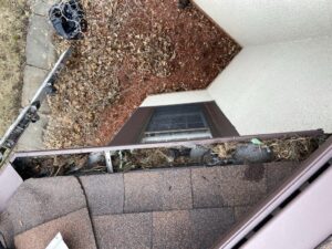 A residential gutter filled with nesting material and debris, indicating a wildlife issue addressed by Stellar Wildlife Solutions in Cottage Grove, MN.