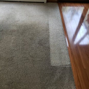 A carpet showing a clear before and after cleaning section by Humble Brothers Carpet Cleaning in Durham, NC.