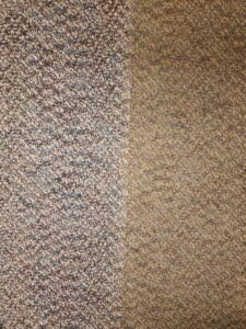 A carpet shown half cleaned, clearly demonstrating the effectiveness of LS Upstate Cleaning in Greenville, SC.