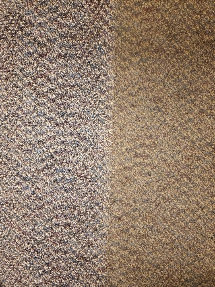 A carpet shown half cleaned, clearly demonstrating the effectiveness of LS Upstate Cleaning in Greenville, SC.