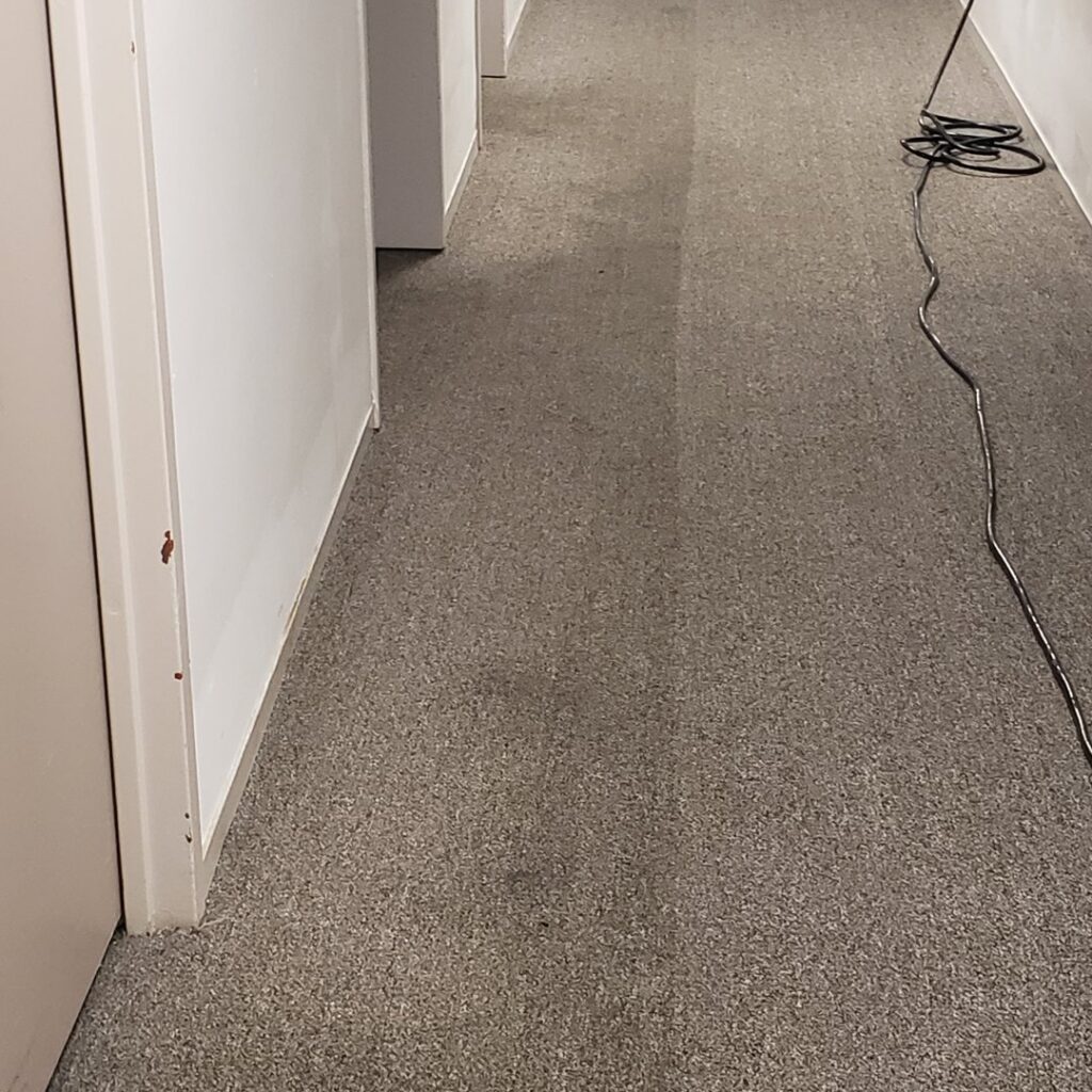 A hallway carpet showing a clear line between the dirty and professionally cleaned sections by Belles Carpet Cleaning & Janitorial Inc. in Harrisburg, PA.