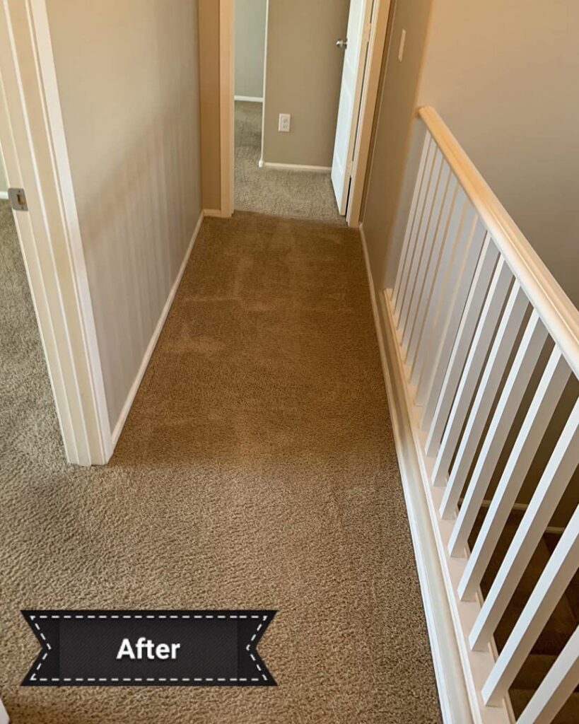 A clean hallway carpet after professional cleaning by Evolution Carpet Cleaning in Fresno, CA
