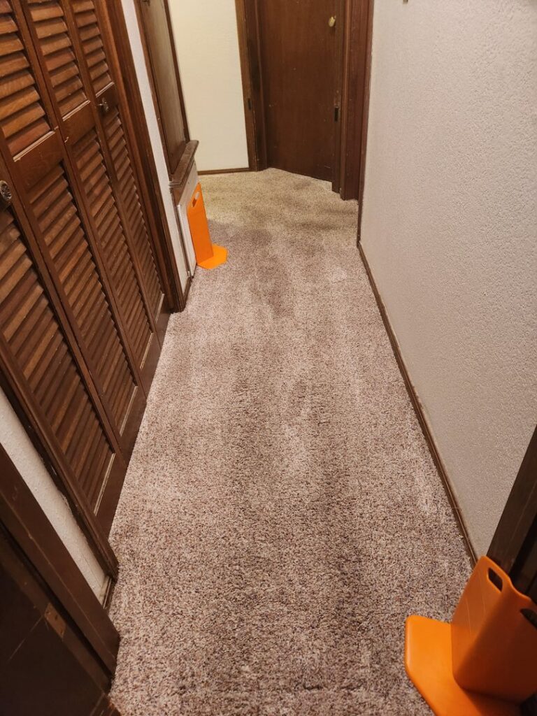 A freshly cleaned hallway carpet with orange safety cones placed by LNC Steam Cleaning in Owasso, OK.