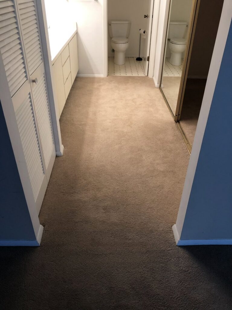 A hallway carpet showing a clear difference between cleaned and uncleaned sections by Fletcher's Carpet Cleaning & Stretching in Knoxville, TN.