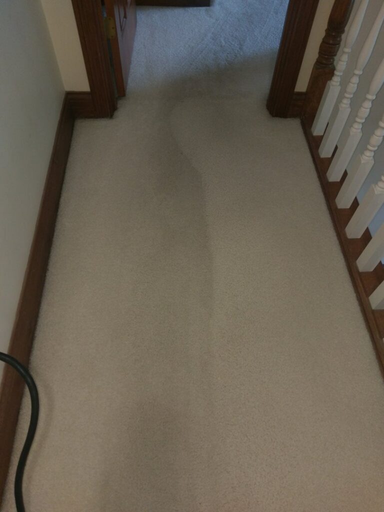 A hallway carpet showing a clear before and after cleaning line, highlighting the effectiveness of Real Green Cleaning in Indianapolis, IN.