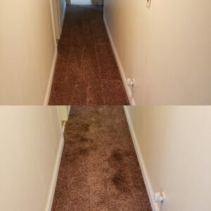 Hallway carpet before and after professional cleaning by Superior Clean Carpet and Upholstery Care in Jacksonville, FL