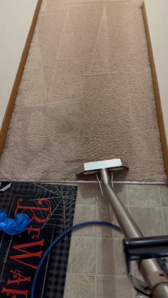 Hallway carpet cleaning showing a clear before and after section by 5 Alarm Carpet Care in West Allis, WI.