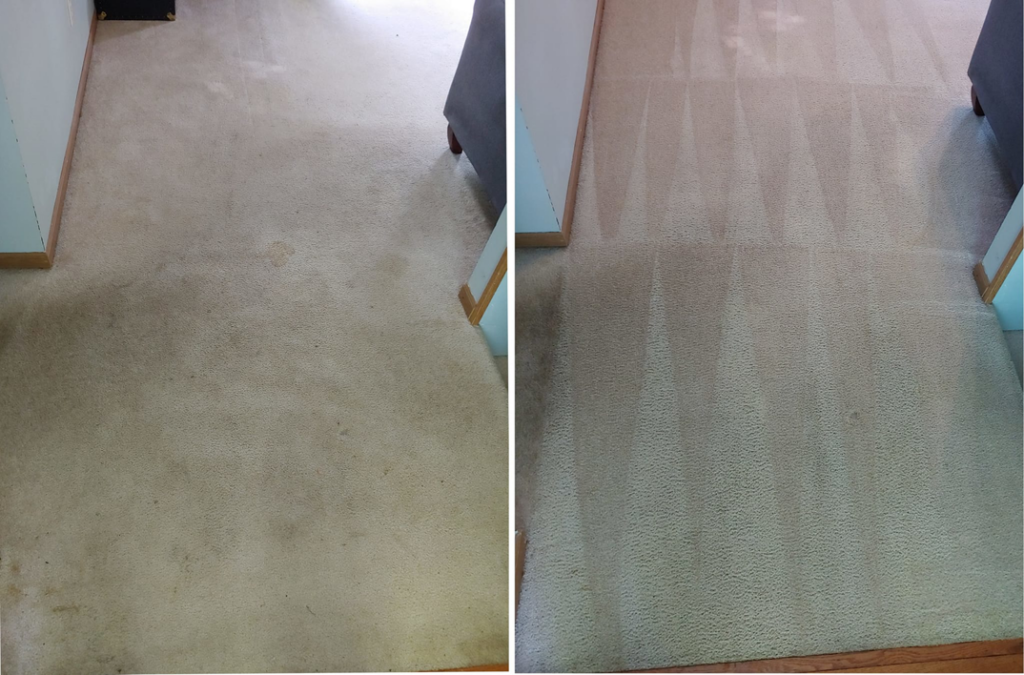 A hallway carpet showing before and after cleaning results with visible cleaning lines from AAA Carpet Cleaning and Restoration in Springfield, MO