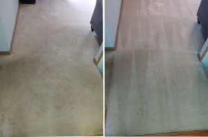 A hallway carpet showing before and after cleaning results with visible cleaning lines from AAA Carpet Cleaning and Restoration in Springfield, MO