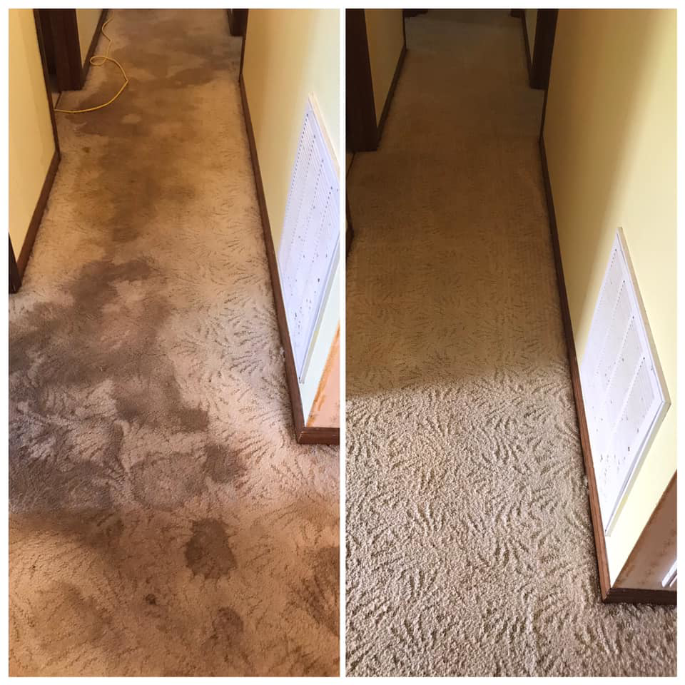 Before and after view of a hallway carpet being professionally steam cleaned by Bee Clean Carpet Steam Cleaning in Dover, DE.