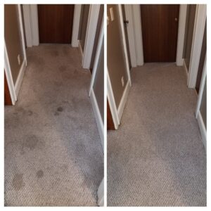 A hallway carpet before and after professional cleaning by Drew's Cleaning and Restoration in Jamestown, NC.