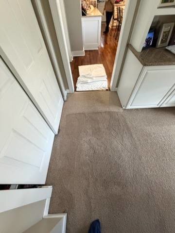 A hallway carpet showing a before and after section of cleaning by Hartford's Carpet Cleaning in Toledo, OH
