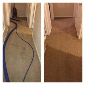A hallway carpet before and after professional cleaning by Mint Carpet Care in Dallas, TX, with equipment visible