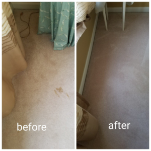 A before and after comparison of a clean hallway carpet by Peach Carpet Cleaning in Roswell, GA.