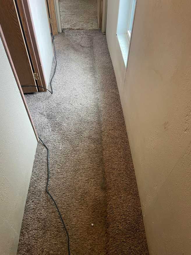 A hallway carpet showing a cleaning pass in progress by Nick's Carpet Cleaning in Snohomish, WA.