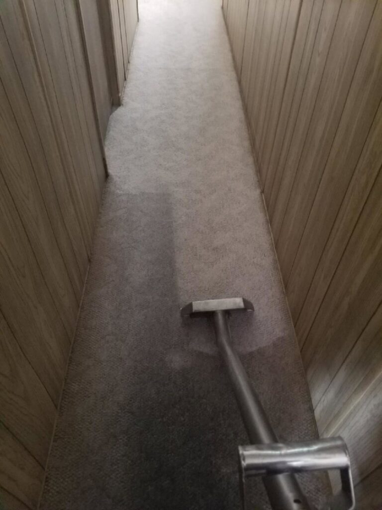 Hallway carpet cleaning in progress, showing a clean path by Regal Carpet Cleaning Inc. in Tucson, AZ