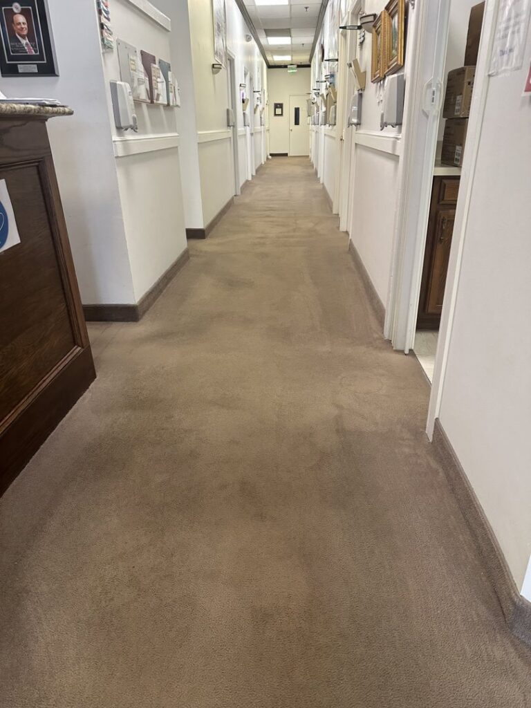 A long hallway carpet showing signs of a recent cleaning job by Heaven's Best Carpet Cleaning Northern VA in Alexandria, VA.