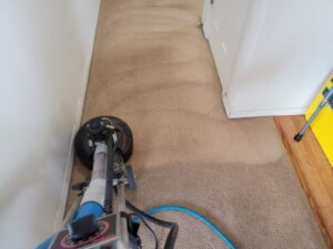 A rotary carpet cleaning machine cleaning a brown hallway carpet by Mr. Suds Carpet Cleaning LLC in Coeur d'Alene, ID.