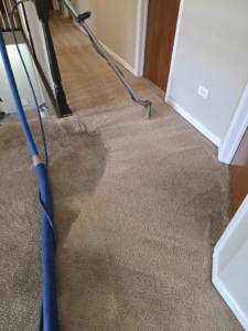 A professional cleaning a brown carpeted hallway with a wand, showing a clean strip, by New Dawn's Carpet Cleaning in Cicero, IL.
