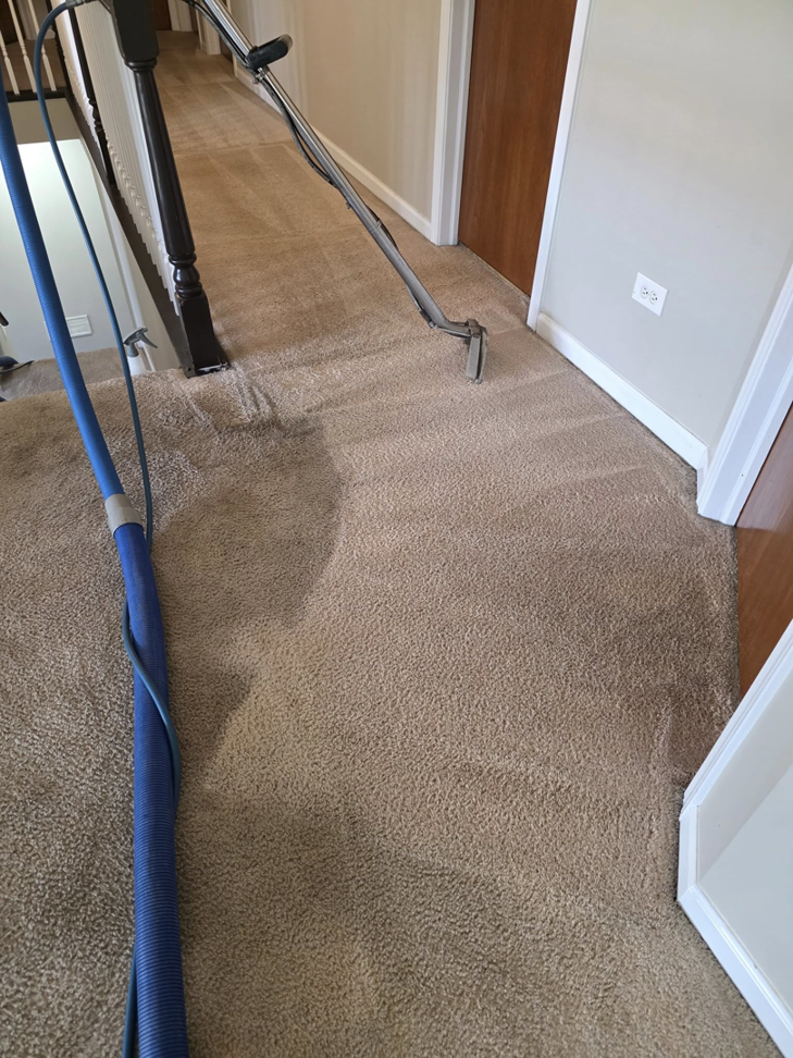 A professional cleaning a brown carpeted hallway with a wand, showing a clean strip, by New Dawn's Carpet Cleaning in Cicero, IL.