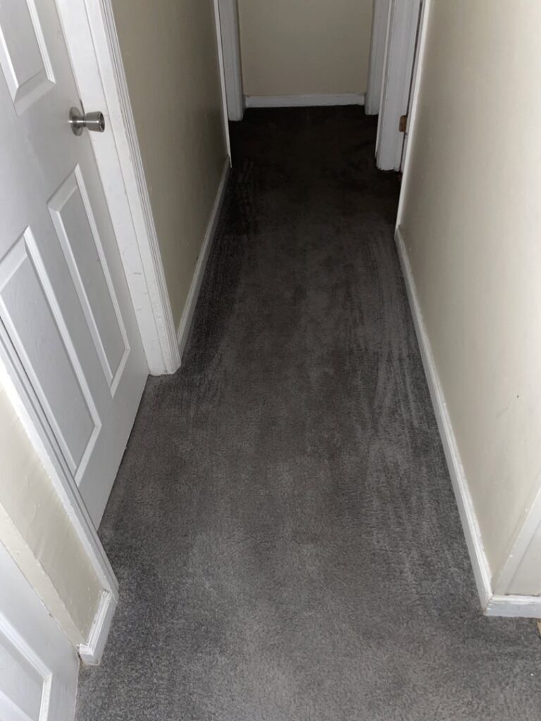 A dark grey hallway carpet showing distinct cleaning lines after service by Fiber Dry Carpet & Upholstery Cleaning in Dayton, OH.