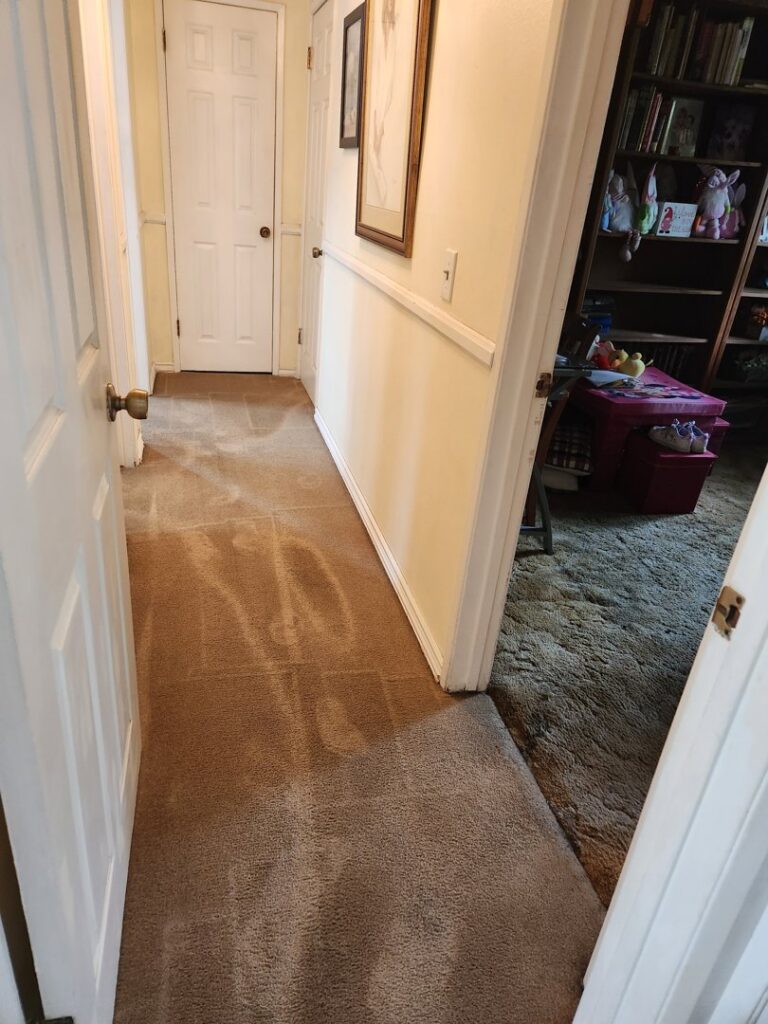 A hallway carpet showing distinct clean lines after professional cleaning by Stanley Steemer in Azusa, CA.