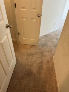 A newly installed light brown carpet in a hallway by First Quality Carpets Inc. in Orlando, FL