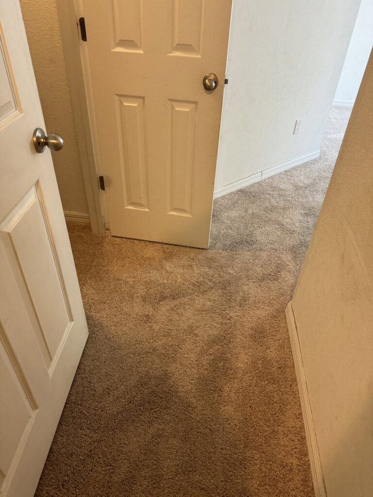 A newly installed light brown carpet in a hallway by First Quality Carpets Inc. in Orlando, FL