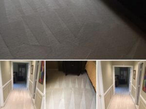 Cleaned carpets with distinct lines in a hallway and room by Professional Carpet Care Laurel in Laurel, MD