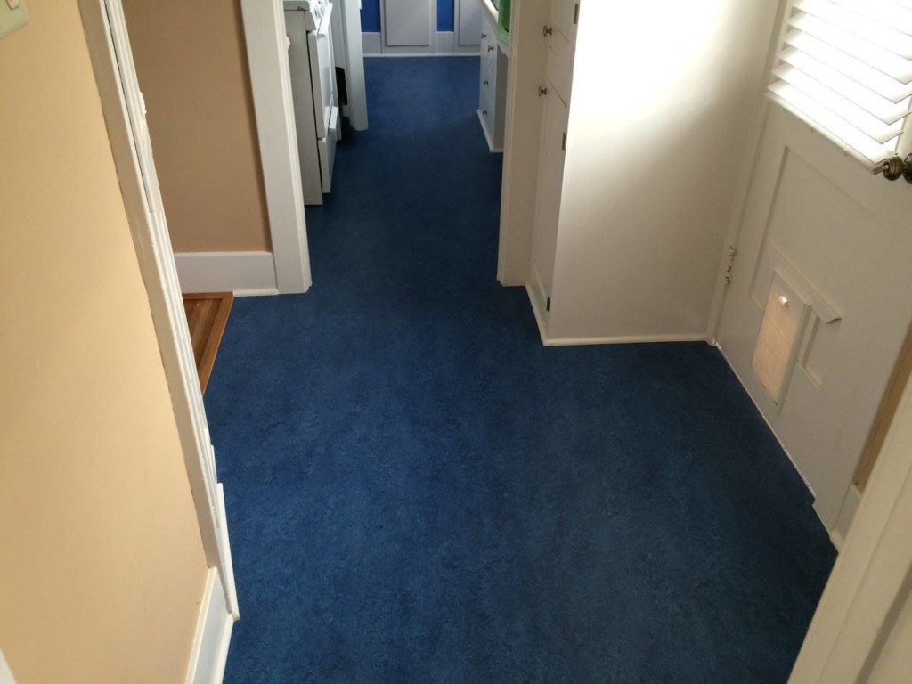A residential hallway featuring a vibrant blue carpet installation by BSA Flooring & Window Coverings in San Diego, CA.