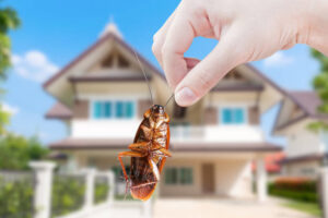 A hand holding a dead cockroach by its antenna with a house in the background, showing pest removal by Bug Doctor in Las Vegas, NV.