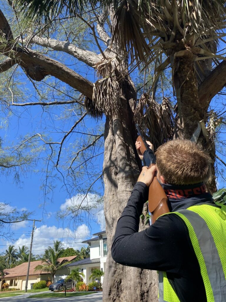 A hand in a black glove holding a sticky trap filled with insects, demonstrating pest control by Sure Shot Pest Solutions in Fort Lauderdale, FL.