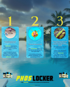 A hand places a PhosLocker phosphate removal pouch into a pool skimmer basket for cleaning at PhosLocker in Phoenix, AZ.