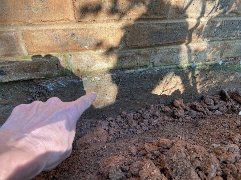A hand pointing to a disturbed area along a brick house foundation, indicating a termite treatment by Corsello & Son Pest Control Services in Atlanta, GA.