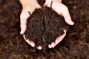 Hands holding a pile of dark brown mulch, ready for landscaping by Kustom Lawn Kare LLC in Greenwood, IN.