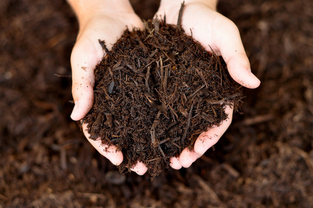 Hands holding a pile of dark brown mulch, ready for landscaping by Kustom Lawn Kare LLC in Greenwood, IN.