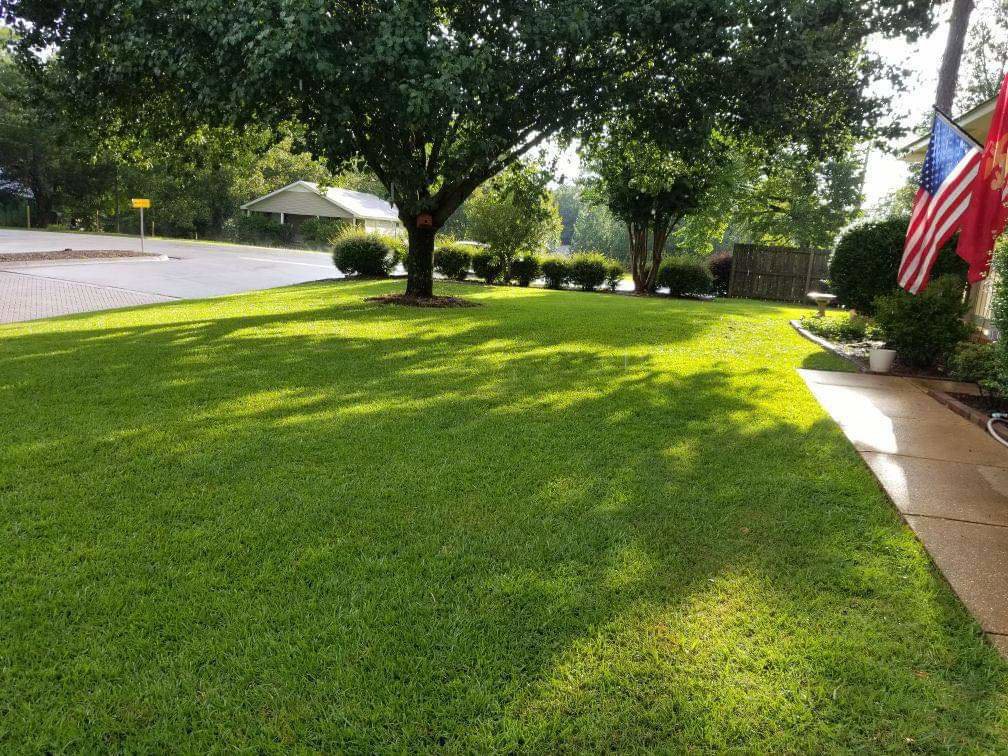 A healthy, vibrant green lawn with a large shade tree and well-kept shrubs by Total Lawn in Lawrence, KS