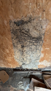 A heavily damaged wooden wall showing severe termite infestation, addressed by Best Termite & Pest Control, Inc. in Manchester, KY.