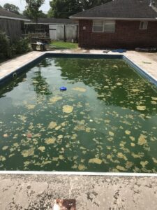 A heavily debris-filled and green inground swimming pool before professional cleaning by Brocks Pools LLC in Baton Rouge, LA.