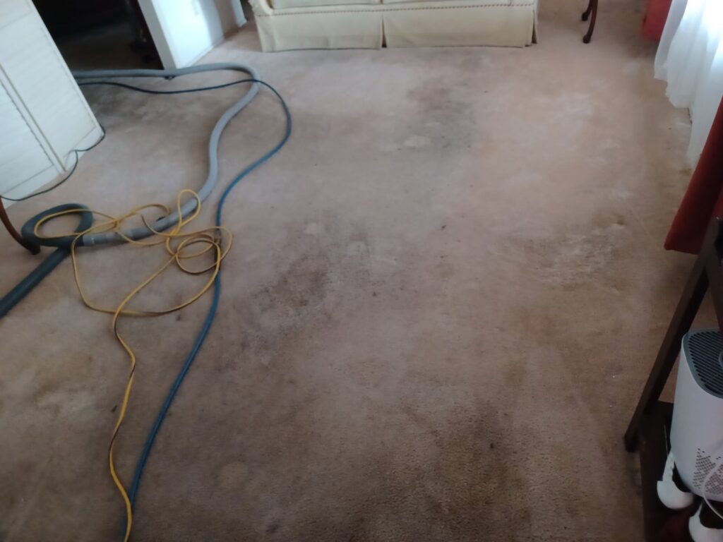 A heavily soiled carpet with cleaning hoses, showing the condition before professional cleaning by El Paso Carpet Care in El Paso, TX.