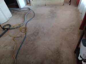 A heavily soiled carpet with cleaning hoses, showing the condition before professional cleaning by El Paso Carpet Care in El Paso, TX.