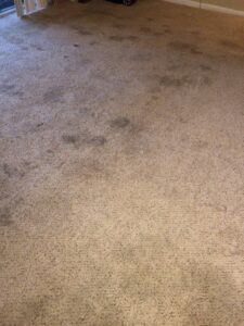 A heavily soiled carpet with visible dirt and stains, awaiting cleaning from KB Cleaning Services, Inc. in Atlanta, GA.